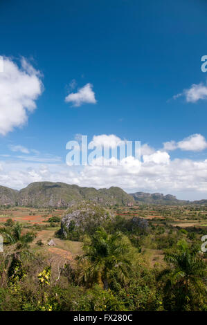 Valley of Vinales with mogotes, Cuba Stock Photo