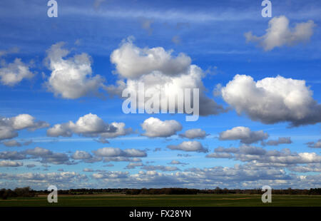 Cumulus clouds in blue sky over Bawdsey and Alderton, Suffolk, England, UK Stock Photo