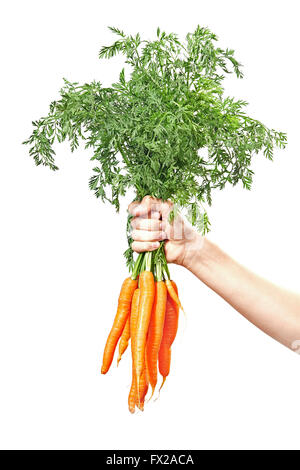 Hand holding raw fresh carrots isolated on white Stock Photo