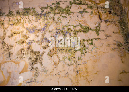 Closeup to cracks and mould on an old wall in a building Stock Photo