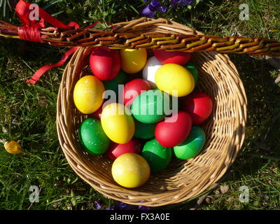 Colorful Easter eggs in basket with willow twigs whip Stock Photo