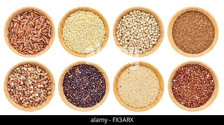 gluten free grains collection  - buckwheat, amaranth, brown rice, millet, sorghum, teff, black and red quinoa Stock Photo