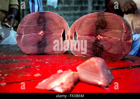 Fishmonger filleting fresh fish, Fishing port, Negombo lagoon, Negombo, Sri Lanka, Indian Ocean, Asia Stock Photo