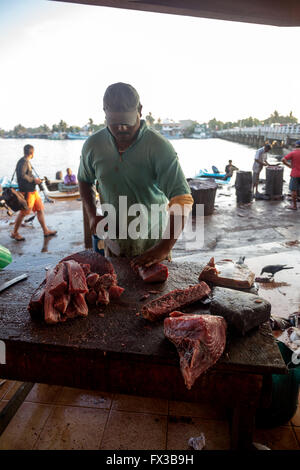 Fishmonger filleting fresh fish, Fishing port, Negombo lagoon, Negombo, Sri Lanka, Indian Ocean, Asia Stock Photo