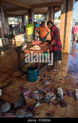 Fishmonger filleting fresh fish, Fishing port, Negombo lagoon, Negombo, Sri Lanka, Indian Ocean, Asia Stock Photo