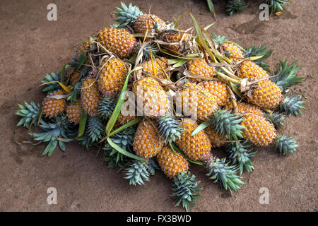 Pile of pineapples on a market for sale, Colombo, Sri Lanka, South Asia Stock Photo