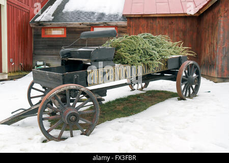 In front of the Vermont Country Store in winter, Rockingham, Vermont, Stock Photo