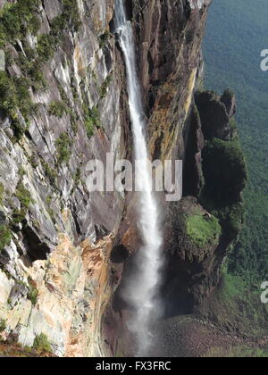 Angel Falls waterfall in Venezuela. Is the world's highest waterfall with a height of 979 metres. Stock Photo