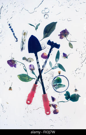 Still life with gardener's tools and morning dew Stock Photo