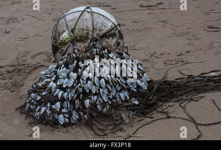 A buoy on the beach in Mwnt near Cardigan, Wales. Stock Photo