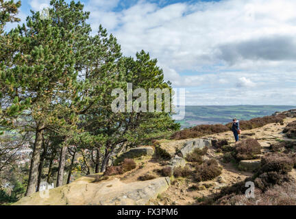 Tourist looking down a rocky outcrop next to woodland in Ilkley Moor, West Yorkshire, UK. Stock Photo