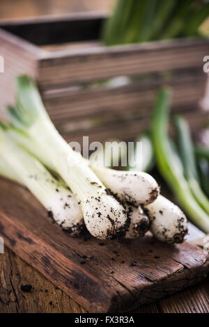 Fresh leek from home garden on wooden farmhouse table in sunny kitchen Stock Photo