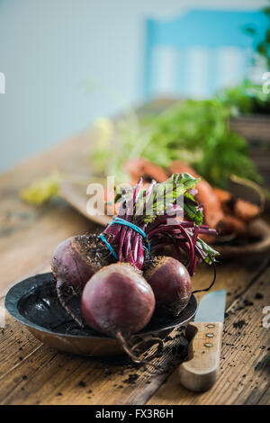 Fresh whole beetroot from garden soil, on wooden farmhouse table in kitchen Stock Photo