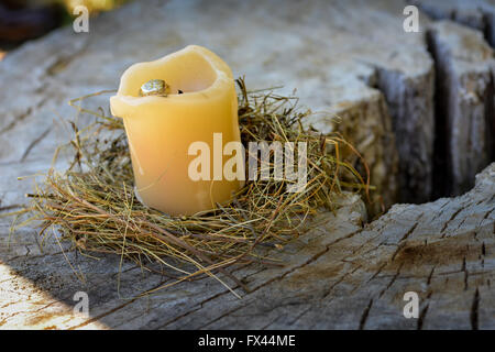 Candle and dried grass on a tree trunk Stock Photo