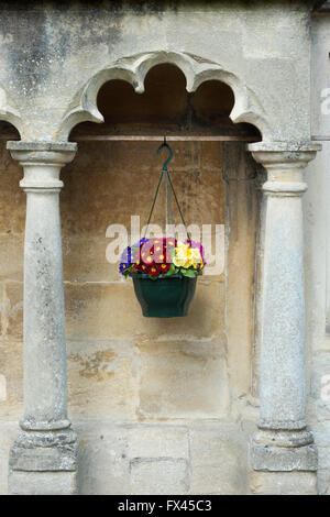 Primroses in a hanging basket in a stone archway. Wells, Somerset, England Stock Photo