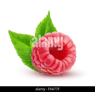 One raspberry with leaves isolated on white with clipping path Stock Photo