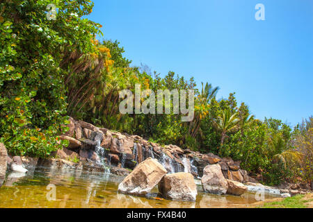 Palmetum Botanic Garden from Santa Cruz de Tenerife Stock Photo