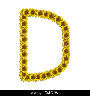Sunflower alphabet isolated on white background, letter D Stock Photo