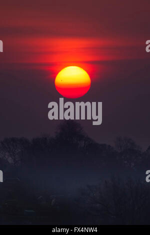 Abington Park, Northampton, UK. 11th April 2016. UK Weather: Early morning sun trying to break though the mist and low cloud,  it never made it so we have a dull cloudy morning to the start of the day. Credit:  Keith J Smith./Alamy Live News Stock Photo