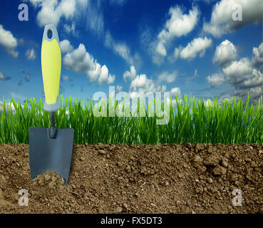 Growing grass in the earth soil Stock Photo