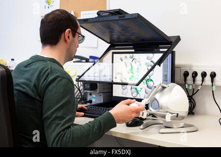 Scientists on a 3D monitor at the Heinrich-Heine University in Dusseldorf Stock Photo