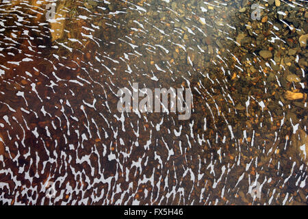 tanin stained stream on Snowdon Ranger track, Snowdonia National Park, Wales Stock Photo