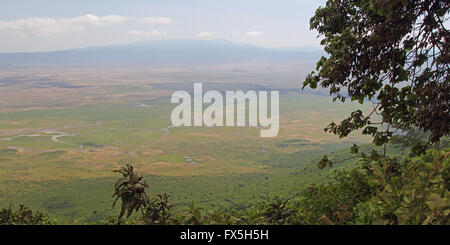 Scenic view of Ngorongoro Conservation Area in Tanzania from the rim Stock Photo