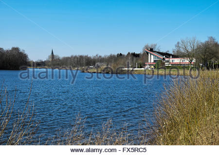 Seestern Stock Photo 333842987 Alamy