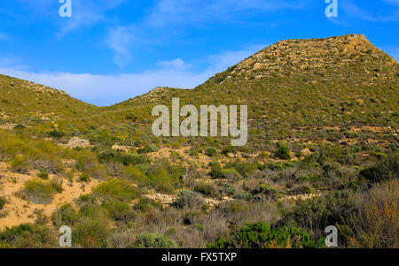 Semi desert scrub vegetation, Rodalquilar, Cabo de Gata natural park, Almeria, Spain Stock Photo