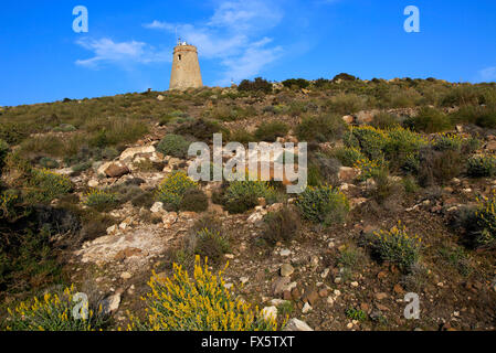 Torre Vigia de los Lobos, Rodalquilar, Cabo de Gata natural park, Almeria, Spain Stock Photo