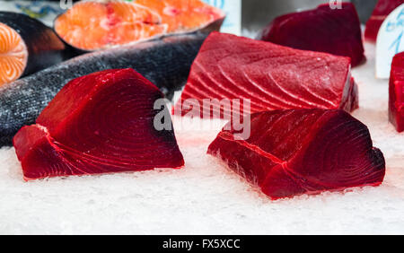 freshly cut tuna filet on ice Stock Photo