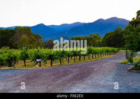 Landscape shot with blue mountains in the background in the Applegate Valley of Southern Oregon. Stock Photo