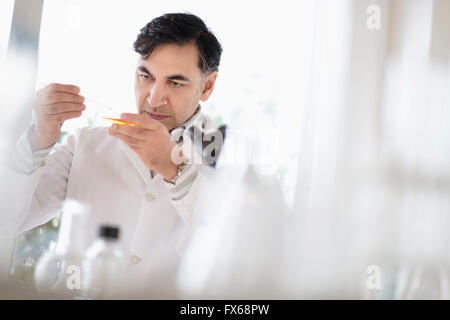 Mixed race scientist working in laboratory Stock Photo