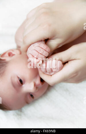Little palms of newborn baby in mother's hands Stock Photo