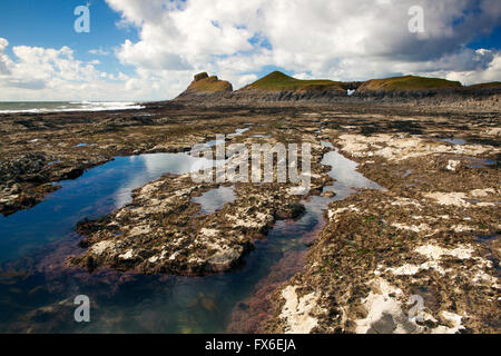 Low tide rock pool at Worm's Head, Gower peninsula, Wales Stock Photo