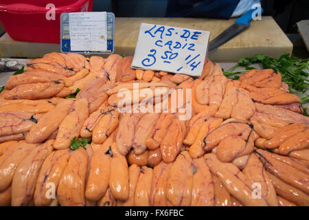 Fish roe. Central Fish Market. Cadiz City, Andalusia Spain. Europe Stock Photo