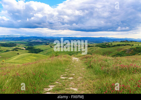 Magnificent Tuscan landscape, fields and meadows near Volterra in Italy Stock Photo