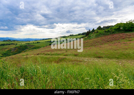 Magnificent Tuscan landscape, fields and meadows near Volterra in Italy Stock Photo