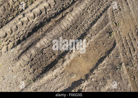 Tyre marks in the mud Stock Photo