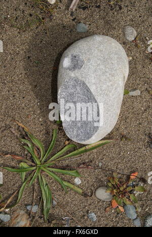 Stone on beach Stock Photo