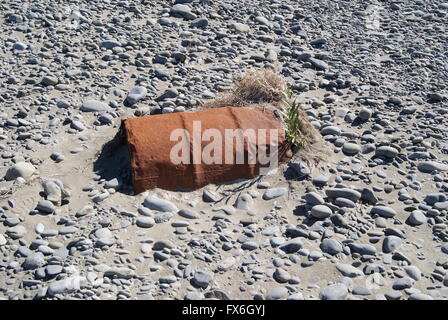 Oil barrel on a river bed Stock Photo