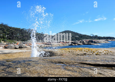 Bicheno Blowhole, Tasmania, Australia Stock Photo