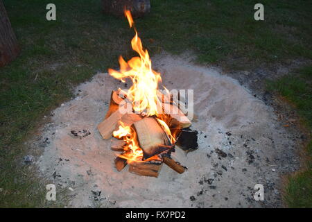 Fire Pit in the Woods. Stock Photo