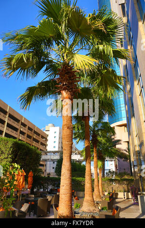 The Shangri La hotel Dubai Stock Photo