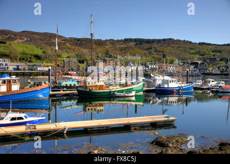 Summer scene in Tarbert harbour, Loch Fyne, Argyll Stock Photo
