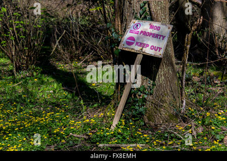 Southwick Woods MOD Property Stock Photo