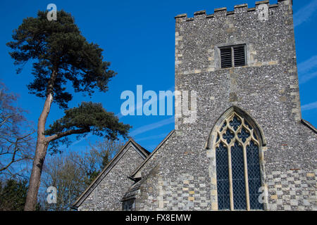 Hampshire Countryside Stock Photo