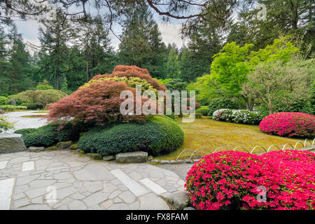 Flowers in bloom at Portland Japanese Garden in Springtime Stock Photo
