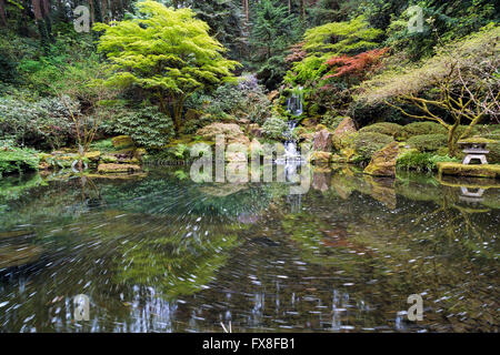 Heavenly Falls and the swirly pond at Portland Japanese Garden in Springtime Stock Photo