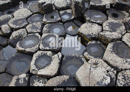 View of interlocking basalt columns on the Giant's Causeway formed as a result of volcanic activity in County Antrim Stock Photo